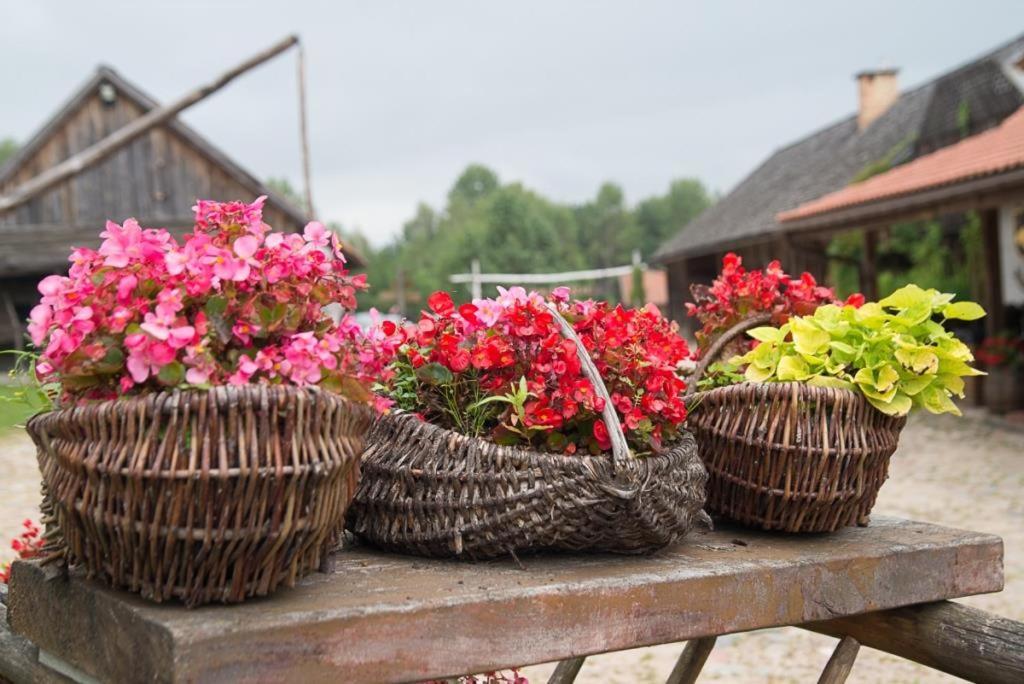 Gosciniec Folwark Nadawki Bed & Breakfast Sienkiewicze Ngoại thất bức ảnh